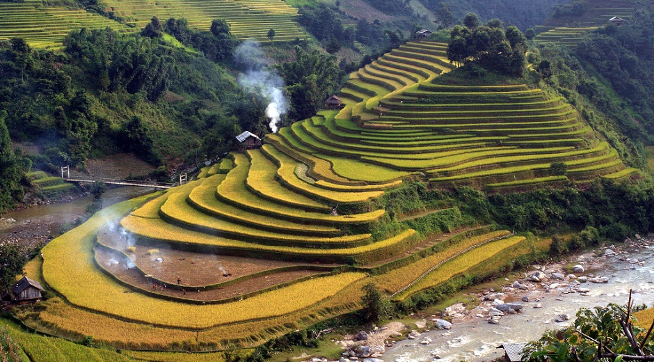 Les rizieres en terraces a Mu Cang Chai Tamtours.fr
